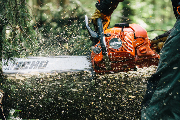 Echo-Chainsaws-2022.jpg