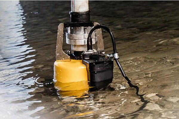 WN-Pumps-Y23.jpg